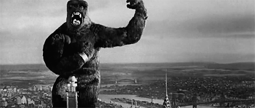 If a giant gorilla stole your partner and went up to the top a of a construction site and tossed barrels at you what would YOU do?
