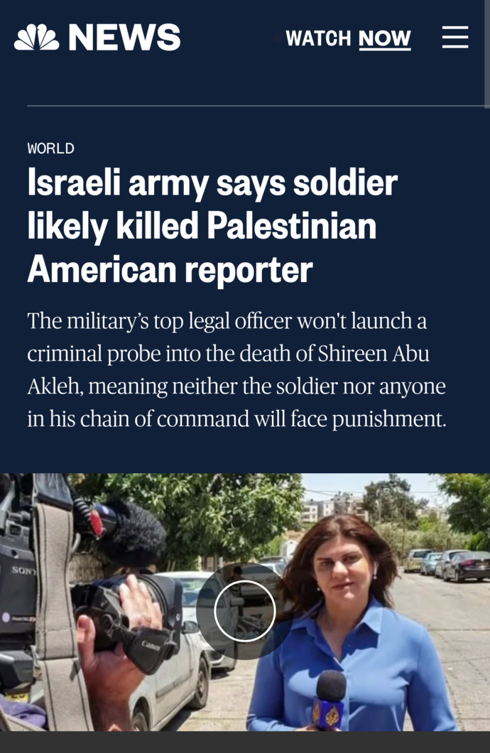 What do you think of the Israeli Defense Forces?
