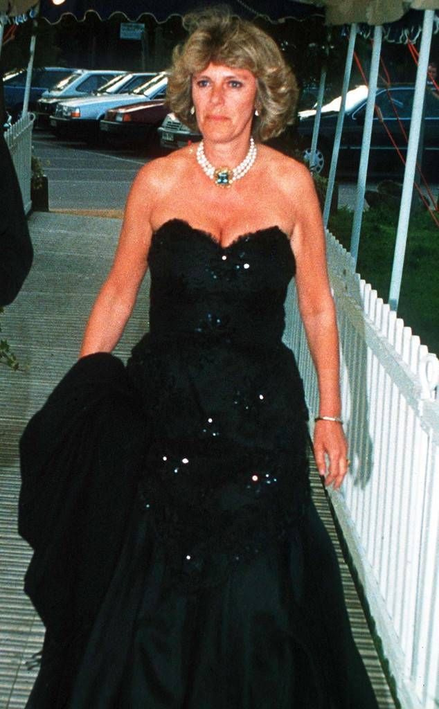 Do you think Prince Charles should really be king?