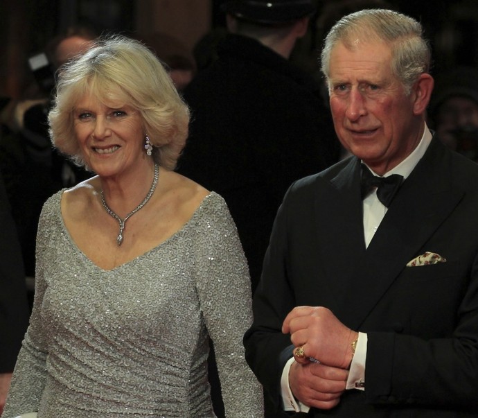 Do you think Prince Charles should really be king?