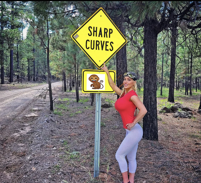 Do you like taking road trips?