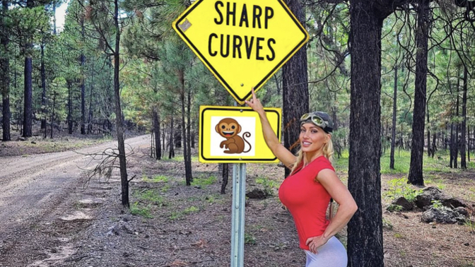 Do you like taking road trips?