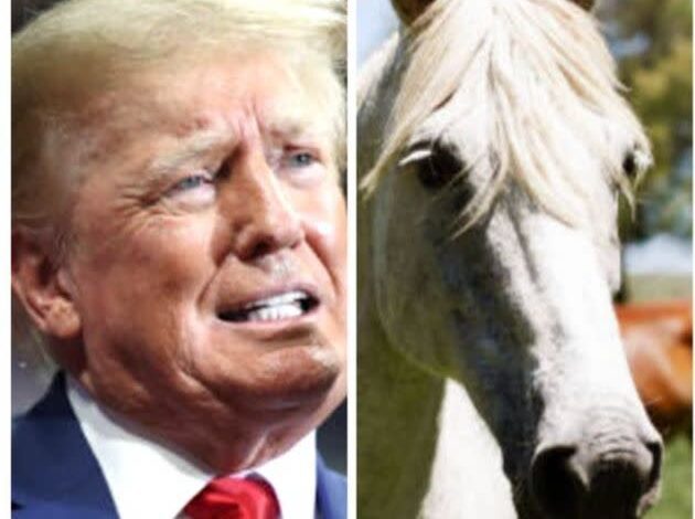 If someone owed you a ton of money and they tried to give you a horse instead if payment would you accept that?