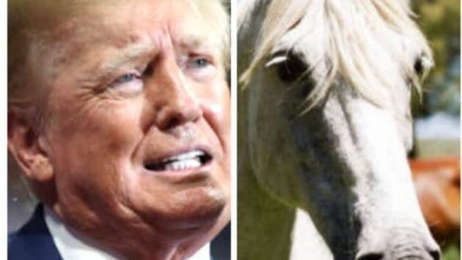 If someone owed you a ton of money and they tried to give you a horse instead if payment would you accept that?
