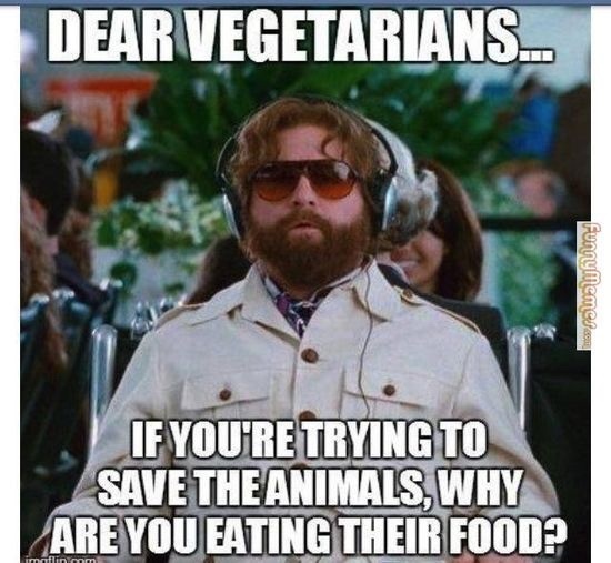 I want to become vegetarian or vegan. Tips and meals?