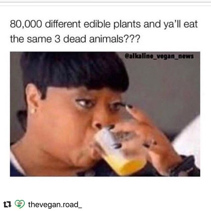 I want to become vegetarian or vegan. Tips and meals?
