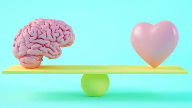 When you meet someone who’s amazing and might be a potential partner, which one do you use/trust more: your brain or heart?