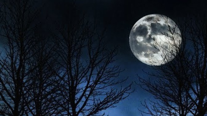 Are you afraid of the dark?