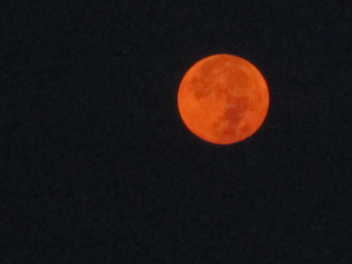 Do you like watching the Moon?