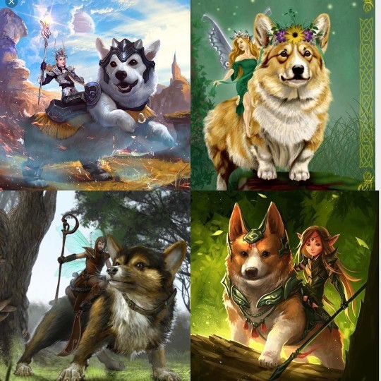 Should the government give everyone a free corgi?
