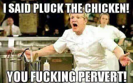 If you cooked a meal for Gordon Ramsay do you think he would like it?