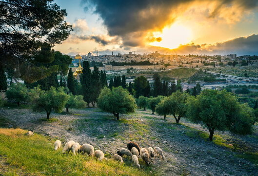 Do Jews have a birthright to the land of Israel?