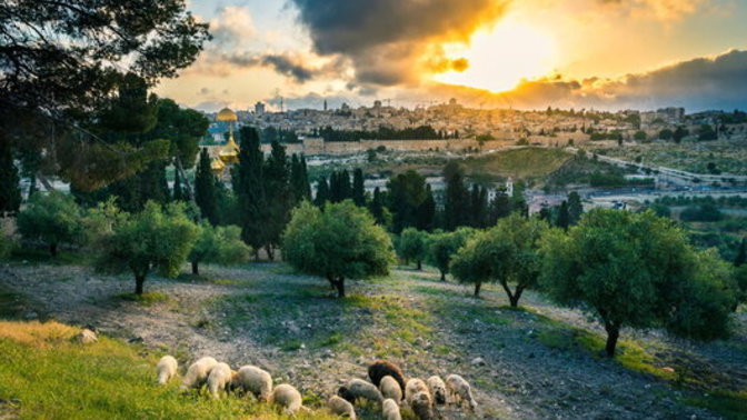 Do Jews have a birthright to the land of Israel?