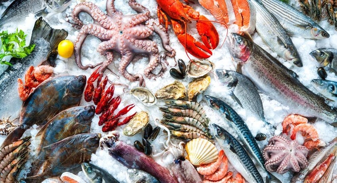 Pescatarians, what do you eat in a day normally?