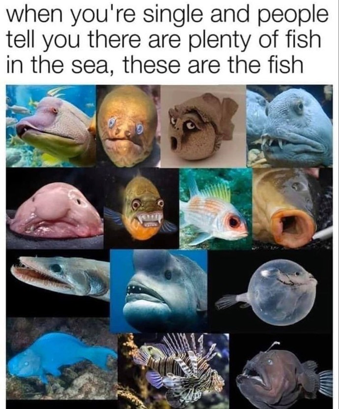 Do you believe there’s plenty of fish out there for you? Why/why not?