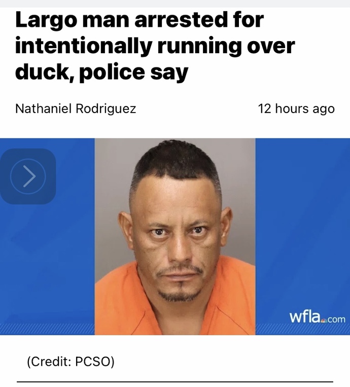This man got arrested for running over a duck?