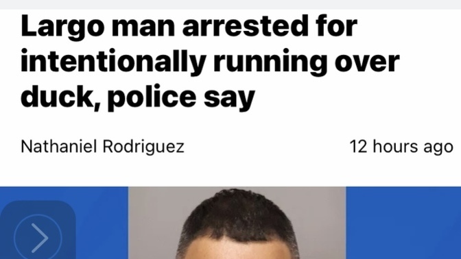 This man got arrested for running over a duck?