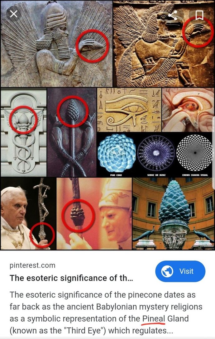 What is the meaning of pinecones?