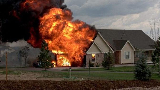 If you could only save one in a fire, who would you save: your SO, your sibling, or your pet?