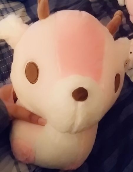 Best Birthday Gift from SO?