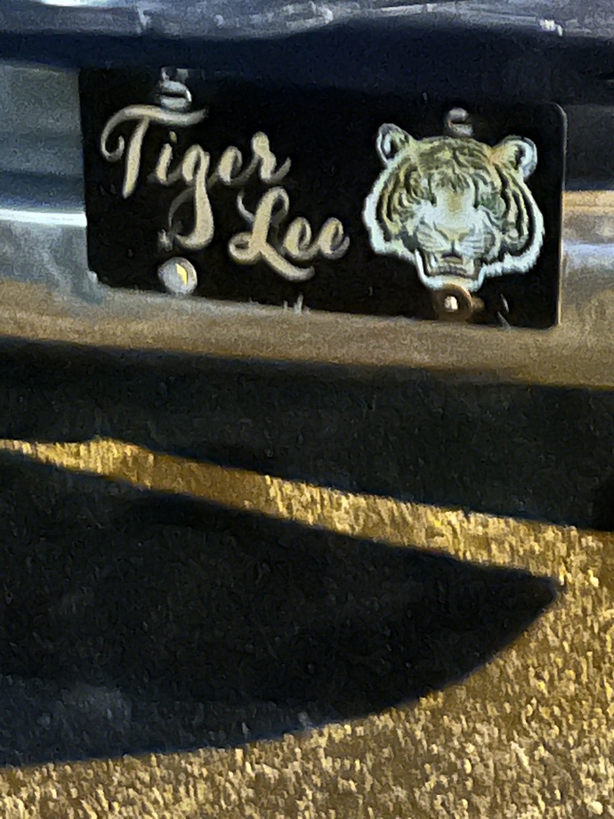 What do you think about vanity plates on cars?
