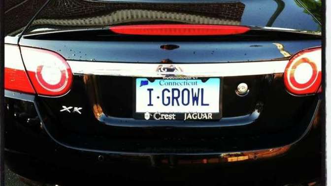 What do you think about vanity plates on cars?