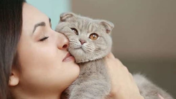 Why does my cat bite me every time I cry or have a panic attack?