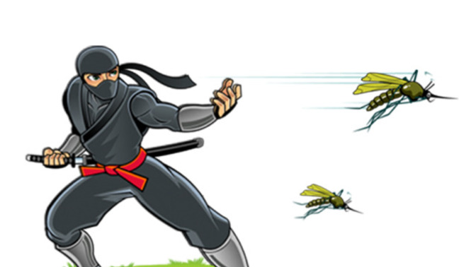 Have you been attacked by mosquitos lately?