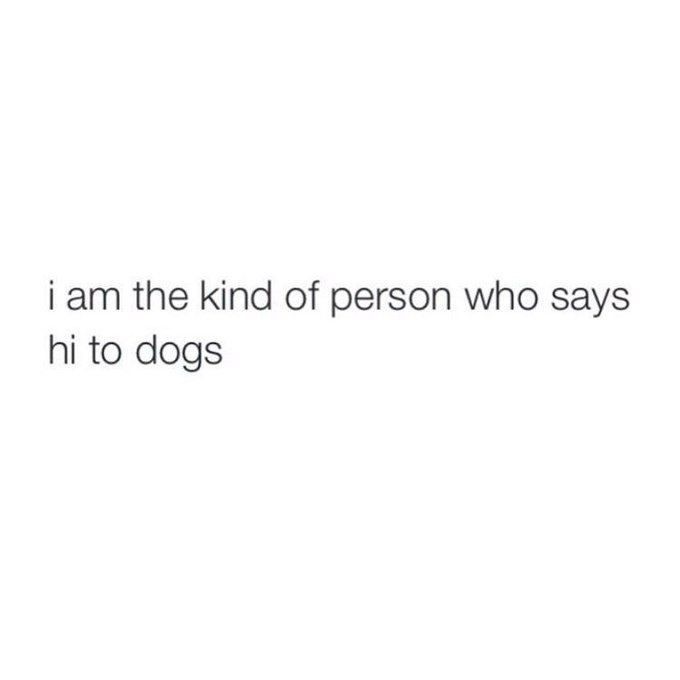 Do you greet dogs when youre walking outside?