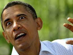 What do you think of DeSantis sending illegals to Obamas house in Martha Vineyard?