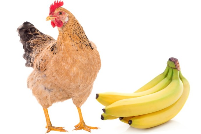 What do you think when you see a woman eating a banana?