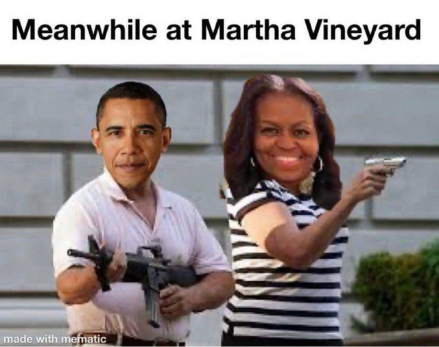 What do you think about Governor De Santis dropping off illegal migrants to Obamas and Kamala Harris' neighbourhood?
