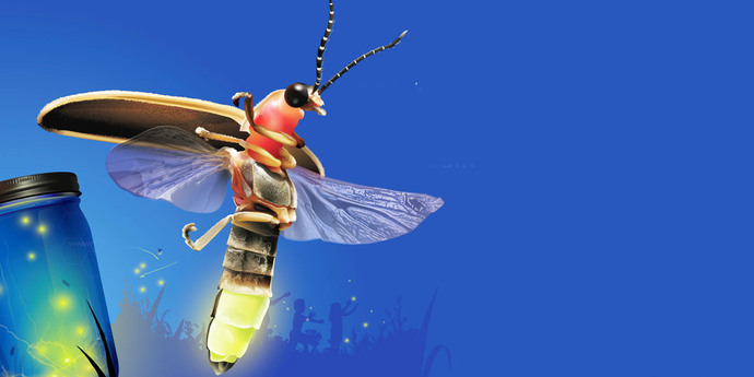 If I asked you to describe yourself as a bug, which bug would you choose?