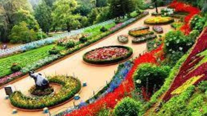 Would you consider this a date or an outing?