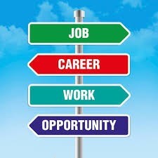 Do you have any regrets on not pursuing a particular career field?