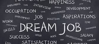 Do you have any regrets on not pursuing a particular career field?