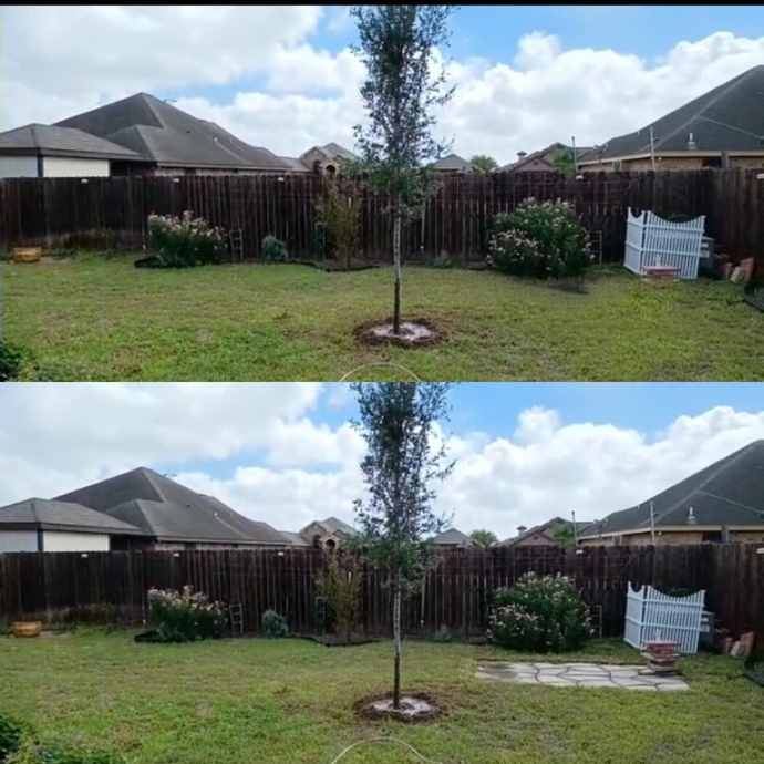 Should I remove the pavers in my backyard?