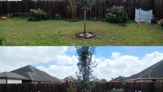 Should I remove the pavers in my backyard?
