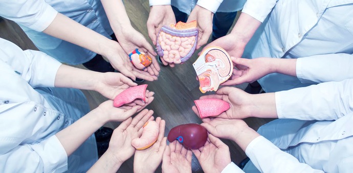 What are your thoughts on organ donation?