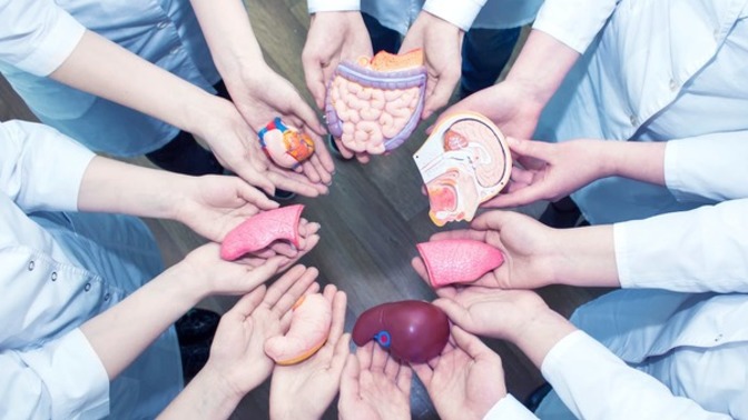 What are your thoughts on organ donation?