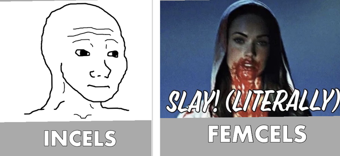 So now there are “Femcels”? Could we start a dating-cel?