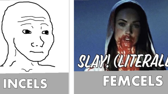 So now there are “Femcels”? Could we start a dating-cel?