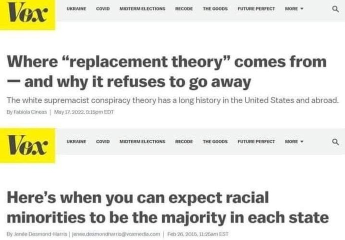 Do you believe in replacement theory?