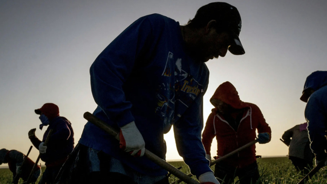 Should we trade people not working in this country for illegal immigrants who will work?