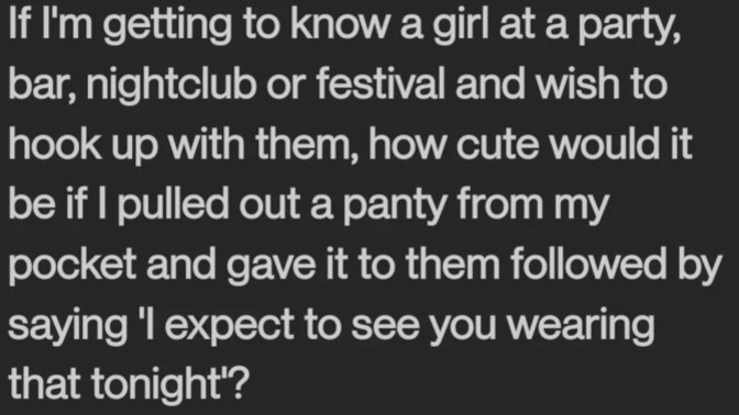 Girls love pocket panties of dubious origin, right guys? that would be such a CUTE pickup line?