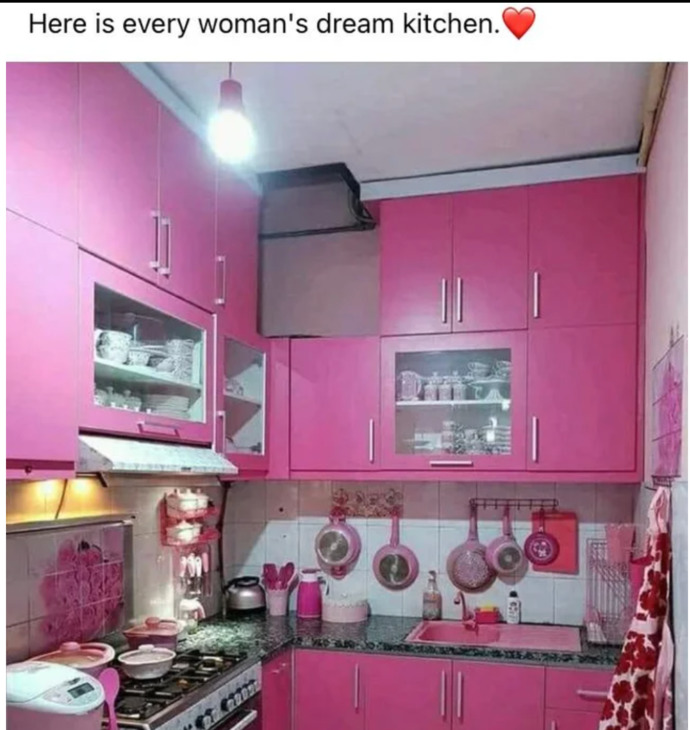 Is this kitchen every women dream of? ?
