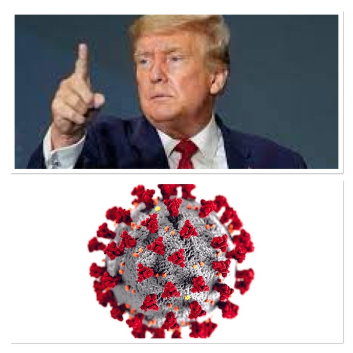 What changed the country more: Covid or Trump?