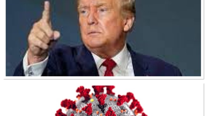 What changed the country more: Covid or Trump?