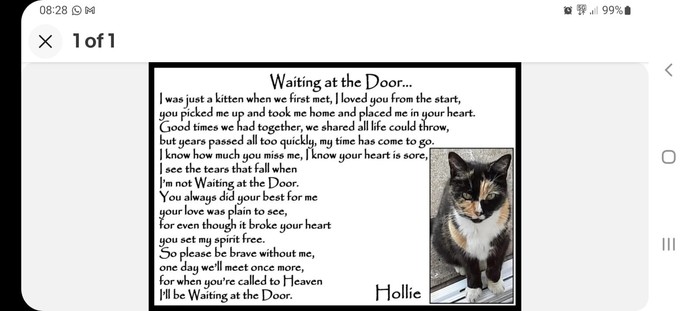 Do you mourn for your pets when they pass away?