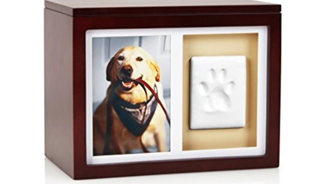 Do you mourn for your pets when they pass away?